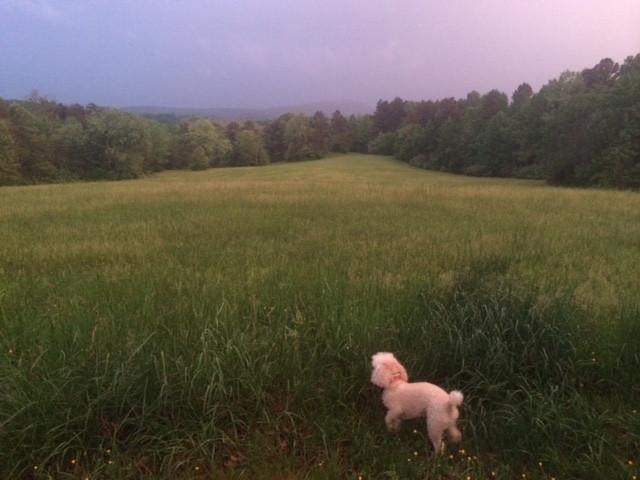 ben mason open space